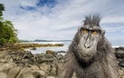 On Assignment, una vita selvaggia. Fotografie di Stefano Unterthiner