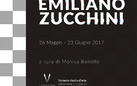 Emiliano Zucchini. Personale