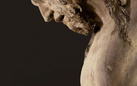 Il Crocifisso restaurato di Donatello in mostra a Padova