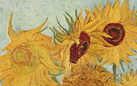 I Girasoli di van Gogh, la felicità oltre la follia