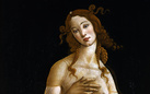 Due Venere di Botticelli si incontrano a Torino