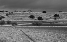 Giovanni Sarto. Le location di Montalbano