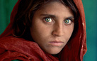 Steve McCurry. Icons