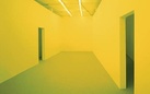 Bruce Nauman. Neons Corridors Rooms