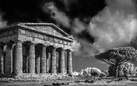 Paestum. Fotografie di Marco Divitini