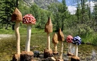 The Mushroom Fortress di Michel Vecchi