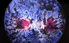 Enrico Magnani, Supernova - Figurazioni cosmiche