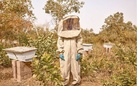 People of Tamba / Senegal/Sicily