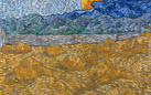 A Genova cinque minuti con Van Gogh (in totale solitudine)