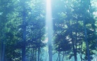 Rinko Kawauchi. Illuminance