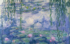 Cinque minuti con MONET. A tu per tu con le Ninfee