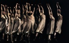 Frammenti - Omaggio a Pina Bausch. Fotografie di Ninni Romeo