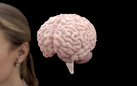 Nella scatola magica del cervello: Fondazione Prada presenta 