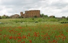 Siena In Cammino