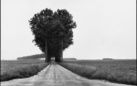 Henri Cartier-Bresson. Landscapes/Paysages