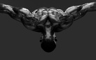 Howard Schatz. Body Power