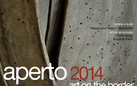 aperto_2014 art on the border