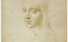 I disegni di Leonardo in mostra a Torino