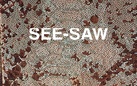 SEE - SAW. Le Zooicone di Carlo Pasini