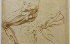 I disegni di Michelangelo presto in mostra alla Pinacoteca Agnelli