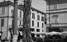 Albero capovolto della Libertà e della Vita