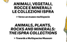 Animali, Vegetali, Rocce e Minerali: le Collezioni ISPRA > Verso un museo multispecie