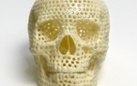 FREEDOM NOT GENIUS. Opere dalla collezione Murderme di Damien Hirst