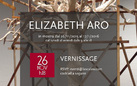 Elizabeth Aro. Mostra e monografia