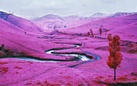 Richard Mosse. The Enclave