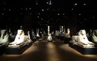Il Museo Egizio di Torino riapre lo statuario