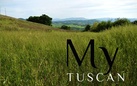 My Tuscan Experience. Feed Art Meet Art