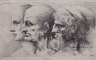 Leonardo disegnato da Hollar