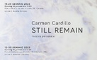 Carmen Cardillo. Still Remain