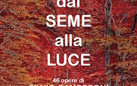 Dal seme alla luce. 46 opere di Silvio Gamberoni