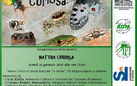 Natura curiosa