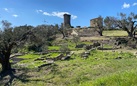 Riapertura del Parco Archeologico di Paestum e Velia