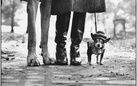 Elliott Erwitt. Family