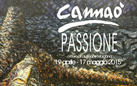 Michele Cannaò. Passione