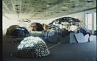 Mario Merz. Igloos