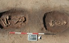 Gli scavi archeologici nel Modenese nel 2016 / Di un capitello tardo antico reimpiegato nella chiesa di Rastellino