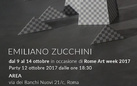 Emiliano Zucchini - RAW Rome Art Week