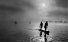 Sebastião Salgado. Genesi