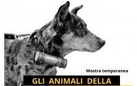 Gli Animali della Grande Guerra