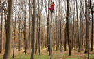 Tree Time - Arte e scienza per una nuova alleanza con la natura