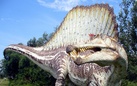 Spinosaurus: il gigante perduto del Cretaceo