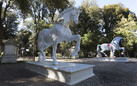 Leonardo Horse Project