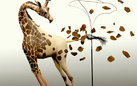 Noi, giraffe nude. Sculture, illustrazioni e dipinti di Sandro Gorra