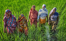 Romeo Civilli. Girls not brides. Spose bambine in Bangladesh