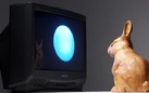 Rabbit Inhabits the Moon. L’arte di Nam June Paik allo specchio del tempo