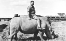 Imer Guala. Taccuino di viaggio. Memorie e segni d’Africa 1958 - Kenya, Tanganica, Uganda